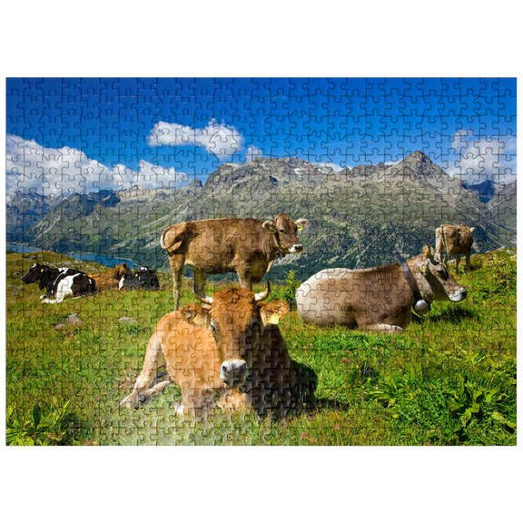 MyPuzzle - Cows On The Way From Corvatsch-Murtel With Piz Polaschin (3013 M) And Upper Engadine Lakes, St. Moritz - Premium 500 Piece Jigsaw Puzzle for Adults