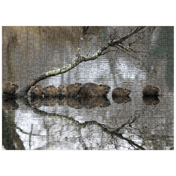 MyPuzzle - Coypu Family - Premium 500 Piece Jigsaw Puzzle for Adults