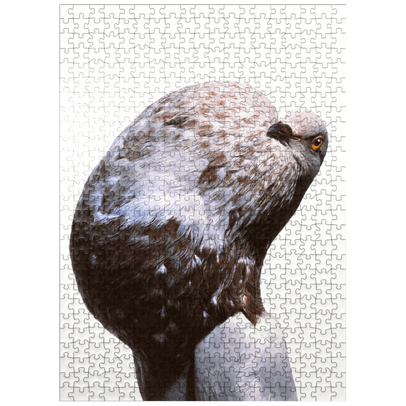 MyPuzzle - English Pouter (Puffer Pigeon) - Premium 500 Piece Jigsaw Puzzle for Adults