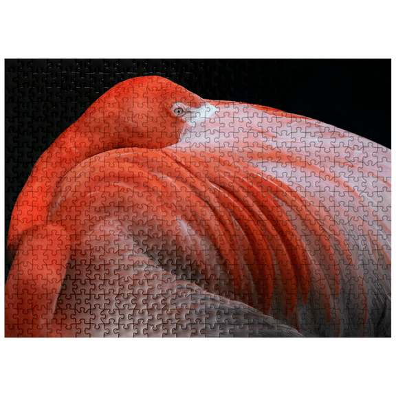 MyPuzzle - Flamingo - Premium 500 Piece Jigsaw Puzzle for Adults