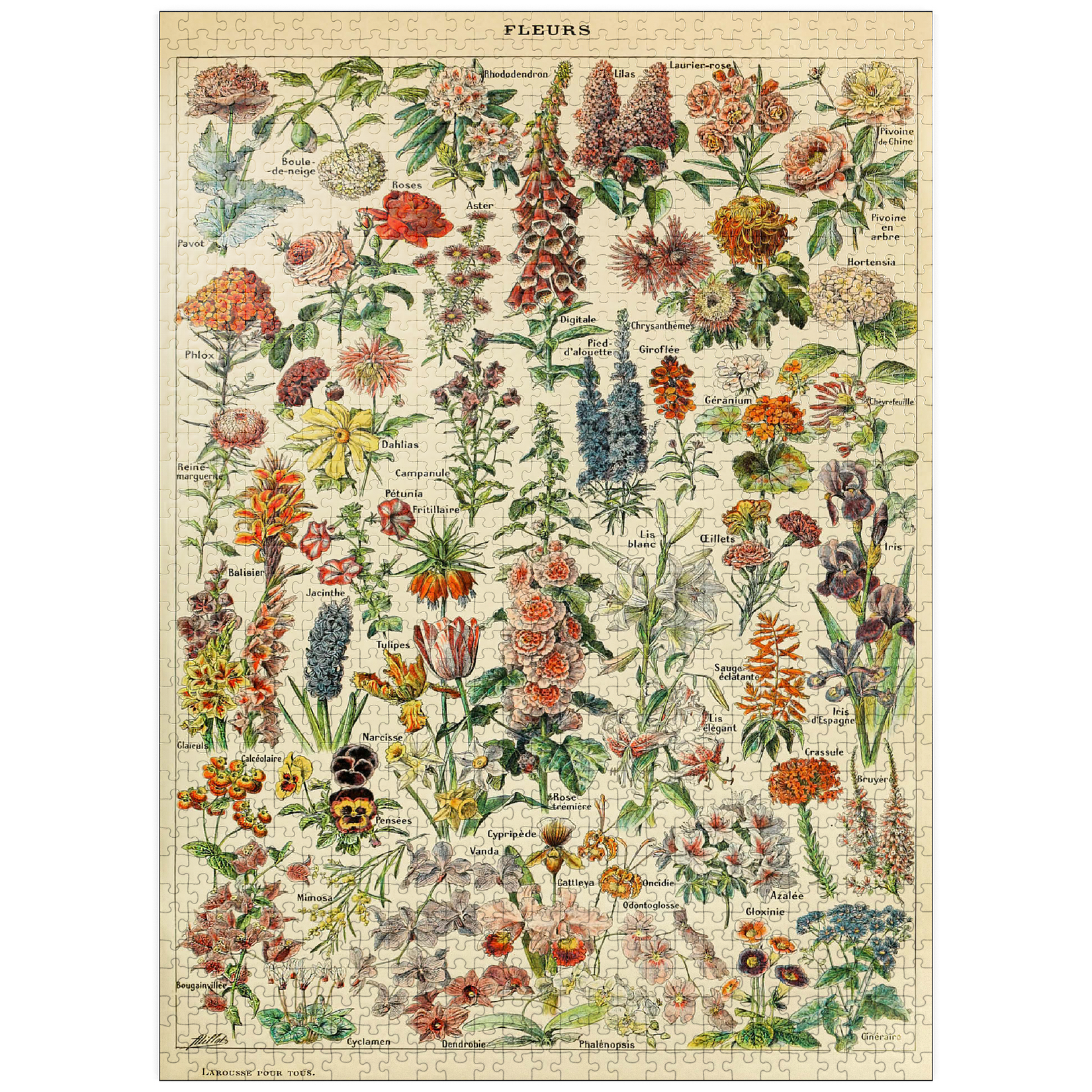 MyPuzzle Vintage Coffee Pattern 1000-Piece Jigsaw Puzzle - Premium Quality Made In USA