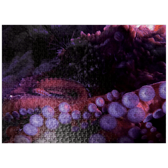 MyPuzzle - Giant Pacific Octopus – Close-Up Of Tentacles In Deep Sea - Premium 500 Piece Jigsaw Puzzle for Adults