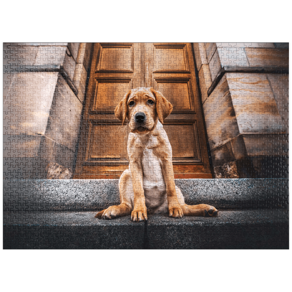 MyPuzzle - Golden Labrador Puppy On Stone Steps - Premium 1000 Piece Jigsaw Puzzle for Adults
