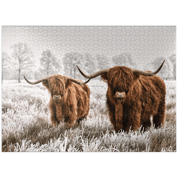MyPuzzle - Hairy Scottish Highland Cattle In A Winter Landscape - Premium 1000 Piece Jigsaw Puzzle for Adults