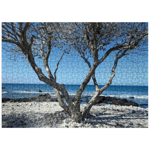 MyPuzzle - Hawaii, The Big Island: Shoreline Branches - Premium 500 Piece Jigsaw Puzzle for Adults