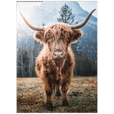 MyPuzzle - Highland Cattle In The Italian Dolomites - Premium 1000 Piece Jigsaw Puzzle for Adults