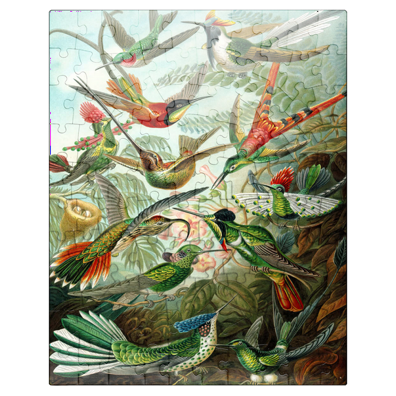 MyPuzzle - Hummingbirds And Trochilidae, Vintage Art Poster, Ernst Haeckel - Premium 100 Piece Jigsaw Puzzle for Adults