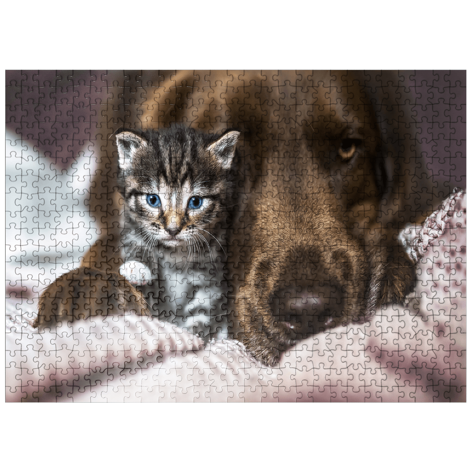 MyPuzzle Aussi Puppy 500 Piece Jigsaw Puzzle - Premium Quality, Made In USA, Includes Reference Poster