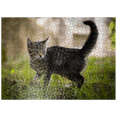 thumbnail image 1 of MyPuzzle - Little Nala - Cute Cat - Premium 500 Piece Jigsaw Puzzle for Adults, 1 of 6