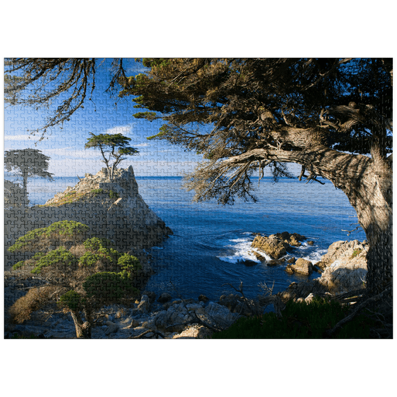 MyPuzzle - Monterey Cypress (Lone Cypress) On The Pacific Coast Near - Premium 1000 Piece Jigsaw Puzzle for Adults