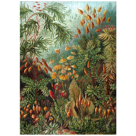 MyPuzzle - Moss (Muscinae) - Art Forms In Nature, Vintage Art Poster, Ernst Haeckel - Premium 300 Piece Jigsaw Puzzle for Adults