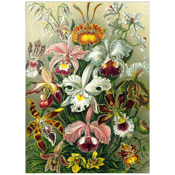 MyPuzzle - Orchid - Nature Art Forms, Vintage Art Poster, Ernst Haeckel - Premium 1000 Piece Jigsaw Puzzle for Adults