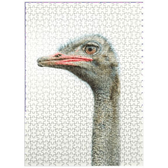 MyPuzzle - Ostrich Head - Premium 500 Piece Jigsaw Puzzle for Adults