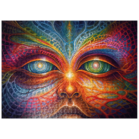 MyPuzzle - Psychedelic Visionary Face - Premium 500 Piece Jigsaw Puzzle for Adults