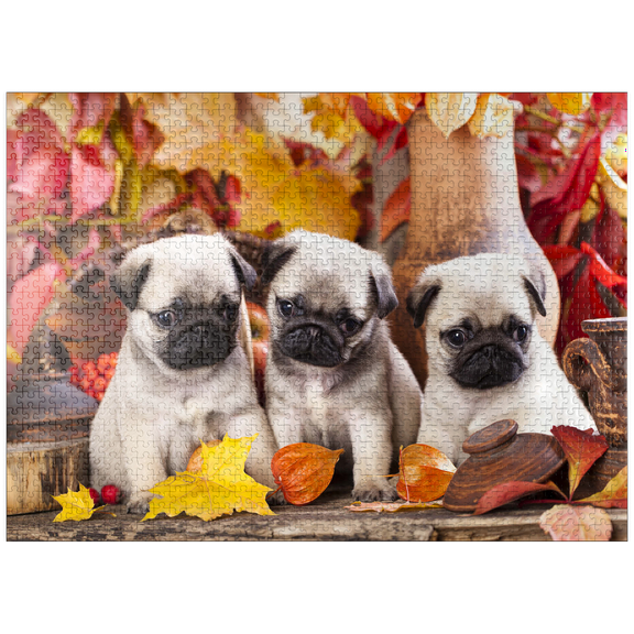 MyPuzzle - Pug Puppies - Premium 1000 Piece Jigsaw Puzzle for Adults