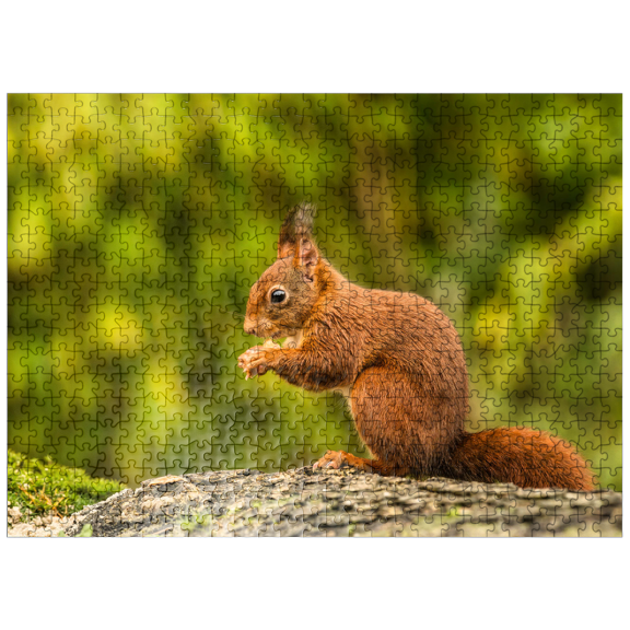MyPuzzle - Red Squirrel Eating A Nut In The Forest - Premium 500 Piece Jigsaw Puzzle for Adults