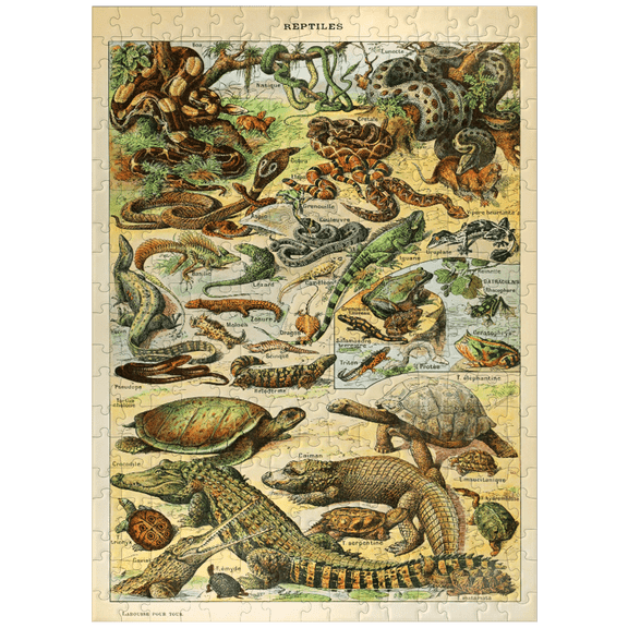 MyPuzzle - Reptiles For All, Vintage Art Poster, Adolphe Millot - Premium 300 Piece Jigsaw Puzzle for Adults