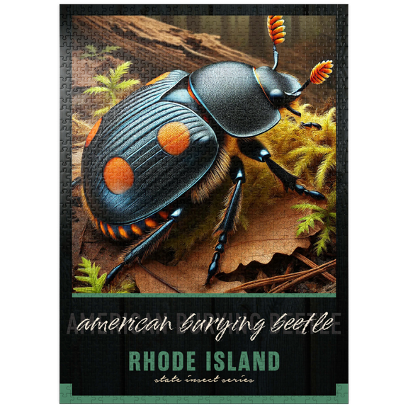 MyPuzzle - Rhode Island, American Burying Beetle: State Insects Series - Premium 1000 Piece Jigsaw Puzzle for Adults