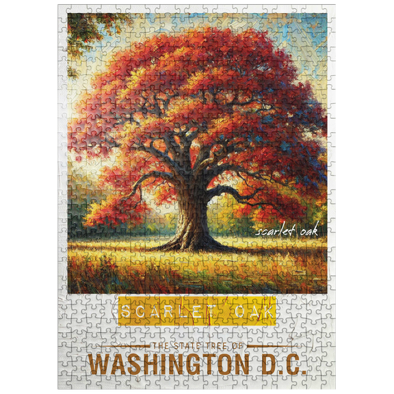 MyPuzzle - State Trees Series: Washington D.C., Scarlet Oak In The Fall - Premium 500 Piece Jigsaw Puzzle for Adults