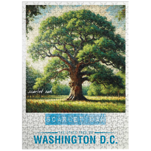MyPuzzle - State Trees Series: Washington D.C., Scarlet Oak - Premium 500 Piece Jigsaw Puzzle for Adults