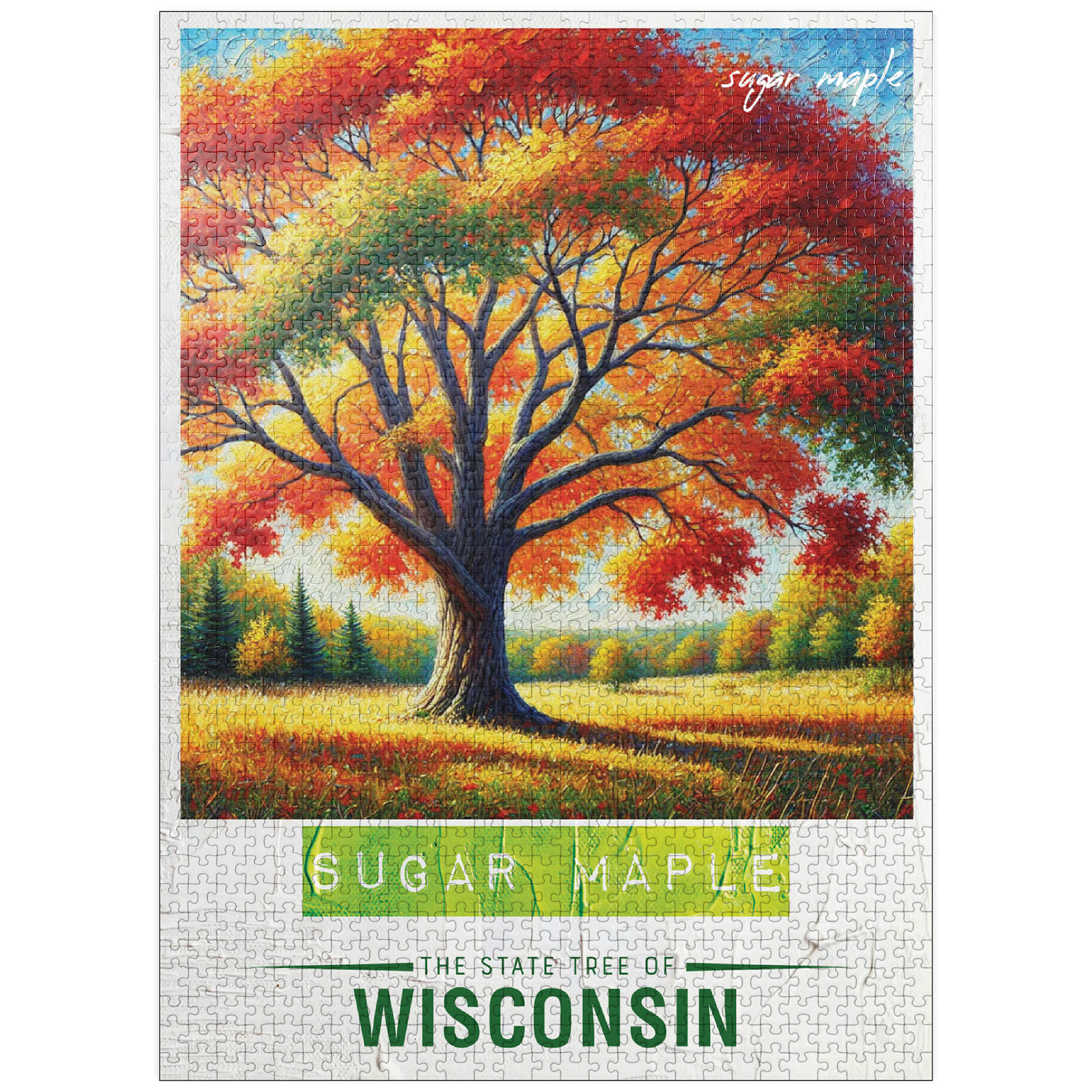 MyPuzzle - State Trees Series: Wisconsin, Sugar Maple - Premium 1000 ...