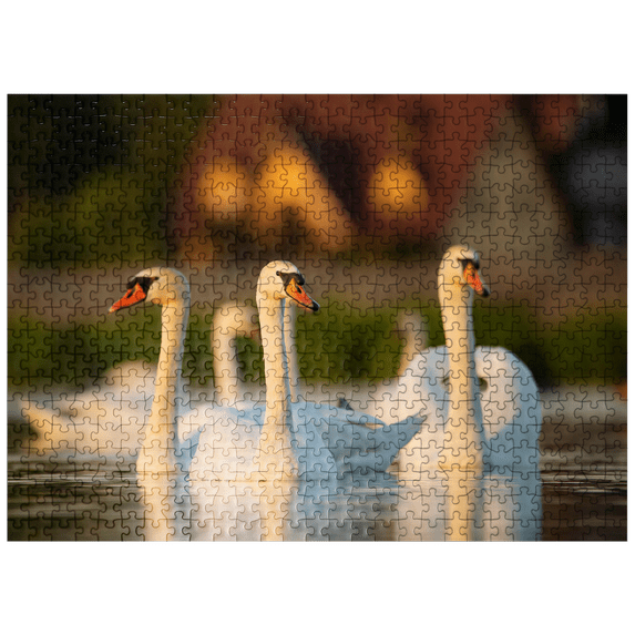 MyPuzzle - Swan Trio - Premium 500 Piece Jigsaw Puzzle for Adults