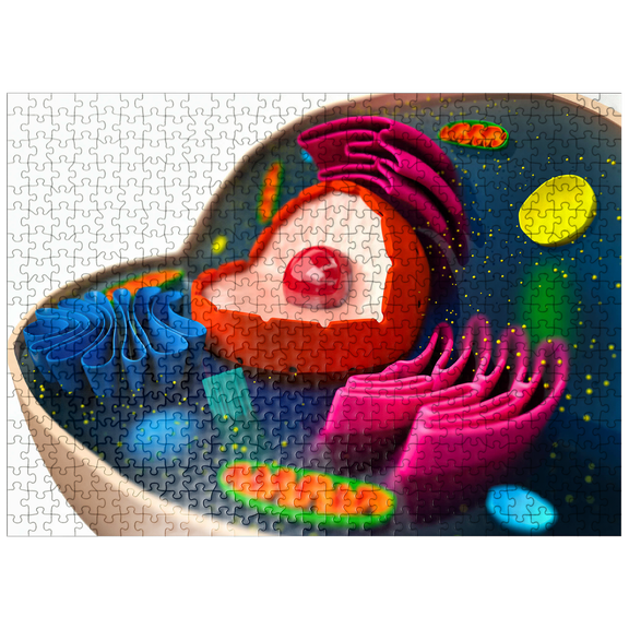 MyPuzzle - The Structure Of A Biological Cell 3D Model - Premium 500 Piece Jigsaw Puzzle for Adults