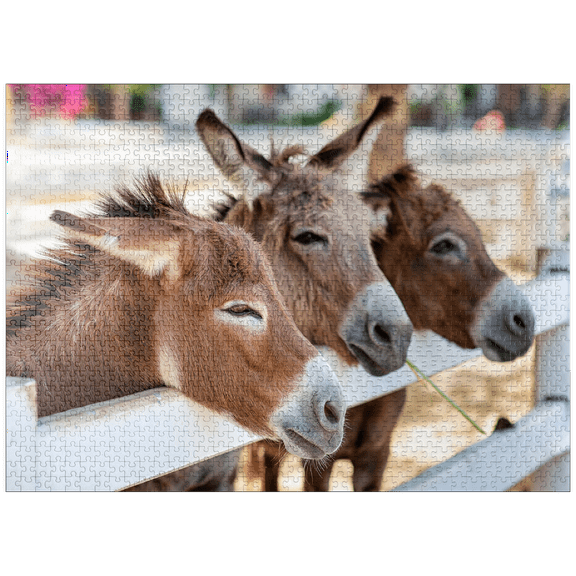 MyPuzzle - Three Donkeys On The Farm - Premium 1000 Piece Jigsaw Puzzle for Adults