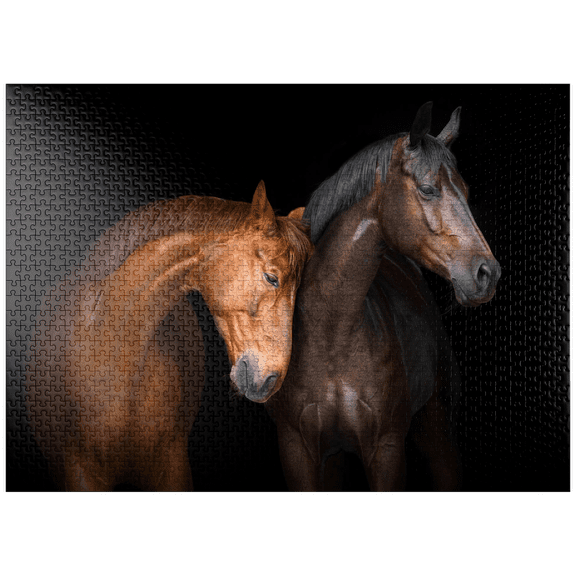 MyPuzzle - Two Horses Close Up Isolated On Black Background - Premium 1000 Piece Jigsaw Puzzle for Adults