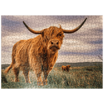 MyPuzzle - Strict Pair Of Highland Cows Caught On The North Coast Of Scotland - Premium 500 Piece Jigsaw Puzzle for Adults
