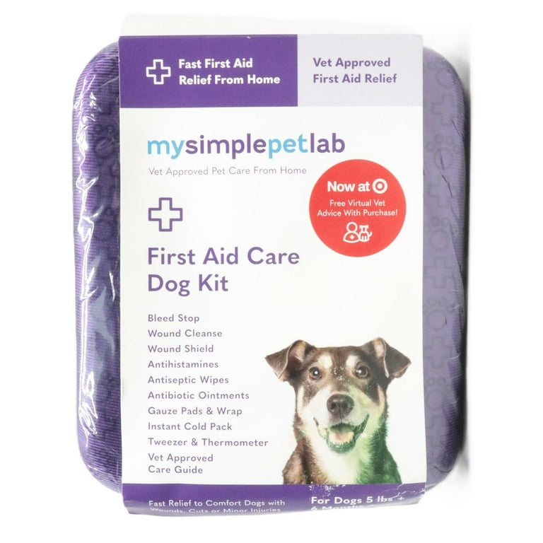How to Treat a Minor Cut on a Dog at Home: Vet-Approved Tips