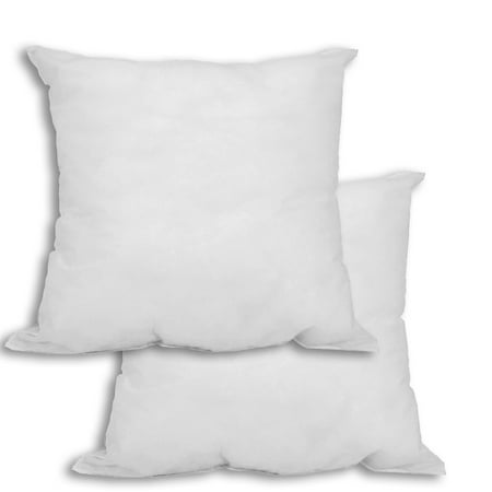 Mybecca 20" x 20" Polyester Decorative Pillow Insert, Hypoallergenic (2 Count)