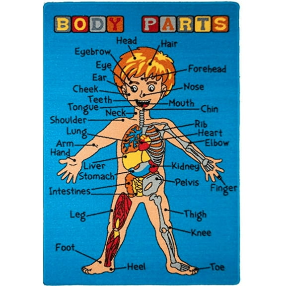 Mybecca Kids Rug Body Parts 5'x7' for Playroom & Nursery Blue Color