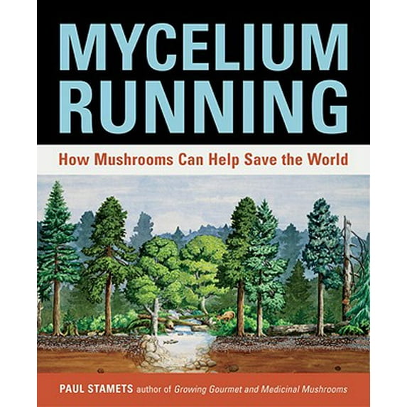 Pre-Owned Mycelium Running: How Mushrooms Can Help Save the World
