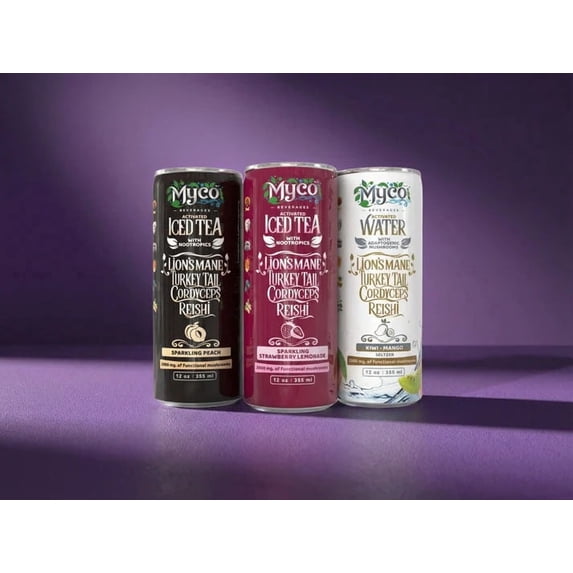 MycoBev Nootropic Sparkling Teas & Seltzers, 2000mg Mushroom 3 Flavors, 6-pack
