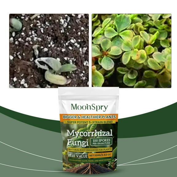 Mycorrhizal Fungi Milorganite Fertilizer Rooting Hormone for Cuttings 100 Spores per Gram 5-Strain Blend Raised Bed Soil Root Growth Booster 100g,2 Bags