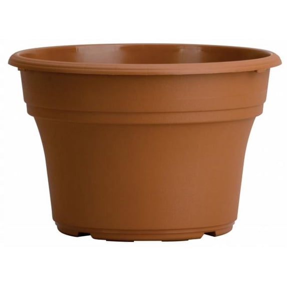 Myers-itml-akro Mils 14in. Clay Panterra Planter - Pack of 12