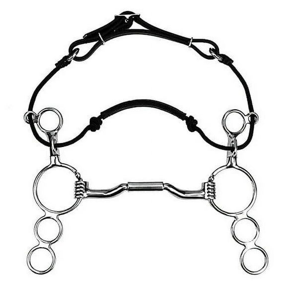 Myler 3 Ring Combination Bit 6" Shank Sweet Iron Forward Tilt Ported Barrel Mb36