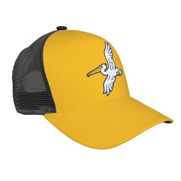 Myrtle Beach Pelicans Curved Brim Mesh Baseball Cap Casual Sun Hat For Unisex