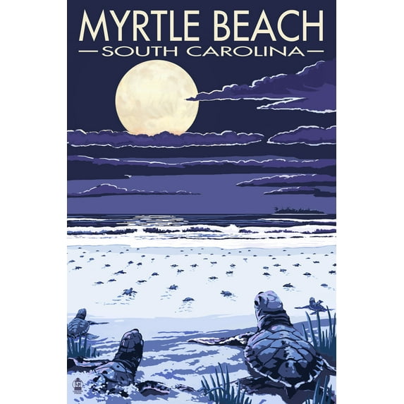 Myrtle Beach, South Carolina, Baby Sea Turtles (24x36 Giclee Gallery Art Print, Vivid Textured Wall Decor)