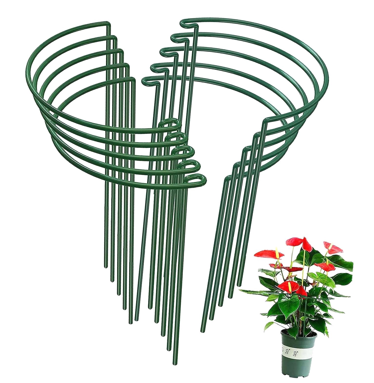 BOULON ZINC TRCC - 10 x 60 mm (BLISTER 50 PIÈCES) - 0689085
