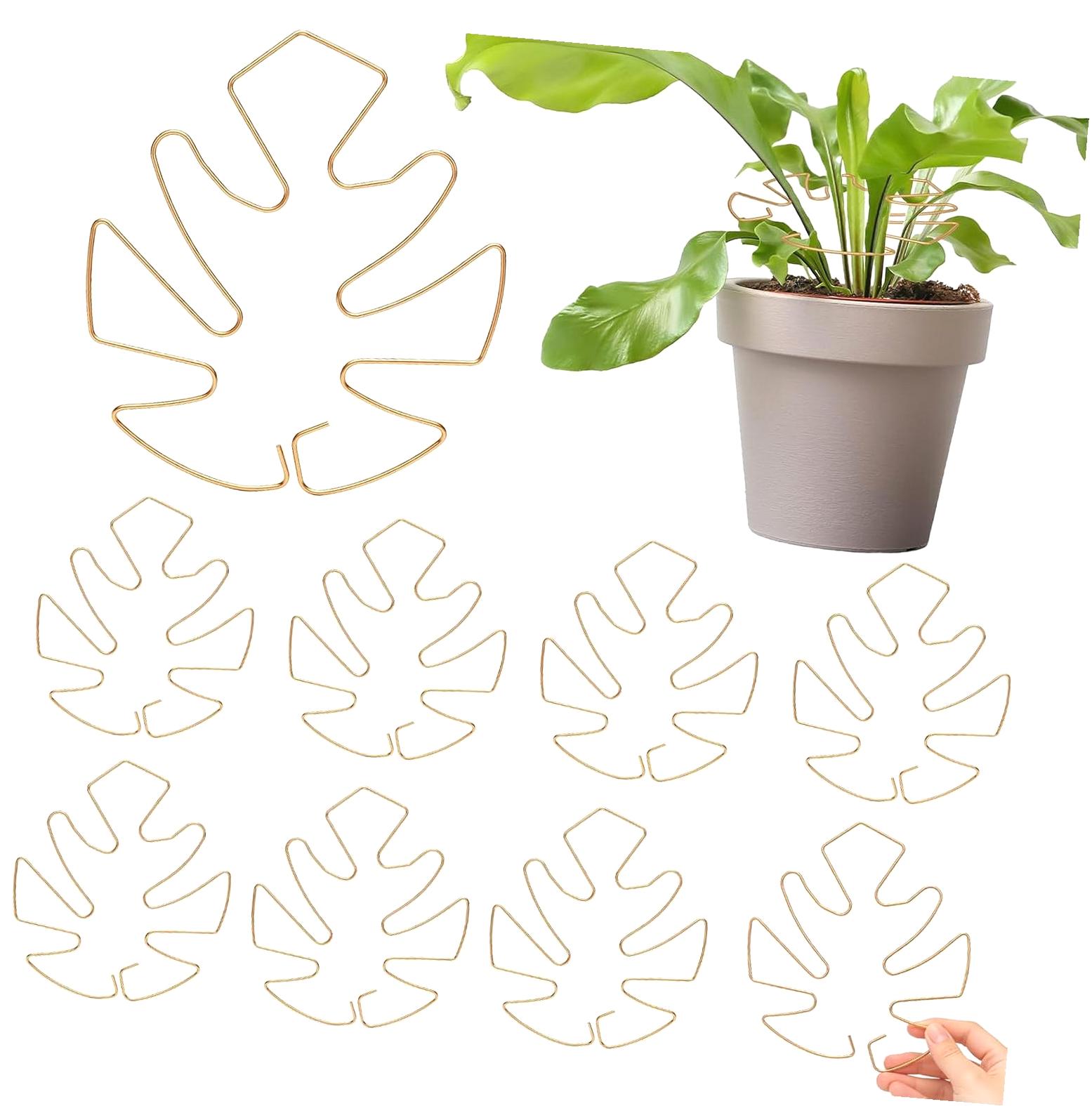 Myst Design 10 Pack Monstera Plant Support Iron Plant Stakes for Indoor ...
