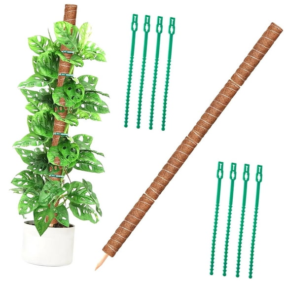 Myst Design 64IN Moss Pole, 4 Pack 16IN Moss Coir Totem Pole for Pothos, Moss Plant Stick, Indoor Plant Stake, Small Moss Pole for Monstera and Climbing Indoor Plants (4 Plant Wrap Ties Included)