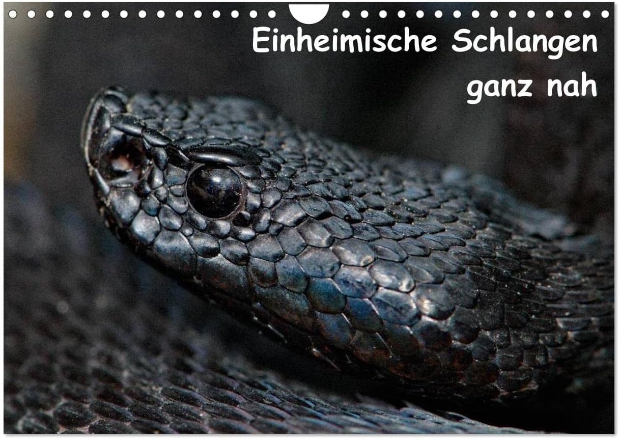 Illustration of Snake Meals Calendar