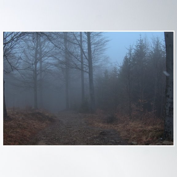 Mysterious Foggy Woods Poster Wall Art, Modern Wall Decor, 8x12 UNFRAMED