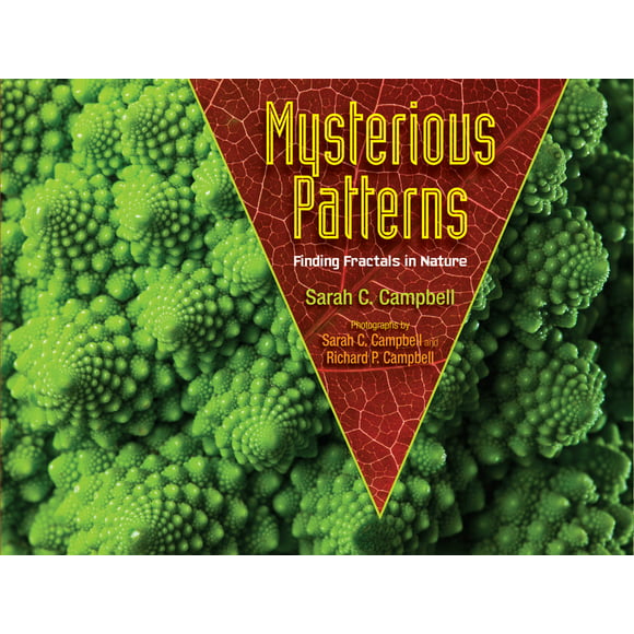 Mysterious Patterns : Finding Fractals in Nature (Hardcover)