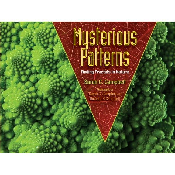 Mysterious Patterns: Finding Fractals in Nature, (Paperback)