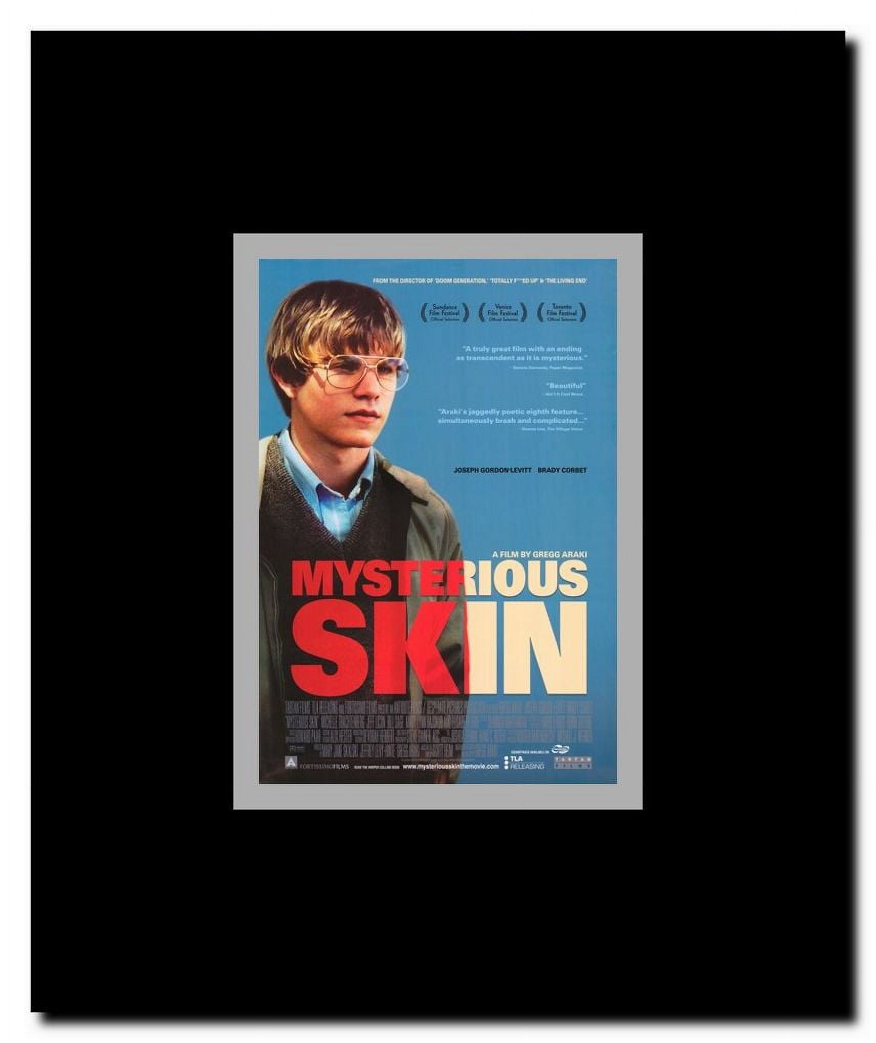 Mysterious Skin Framed Movie Poster