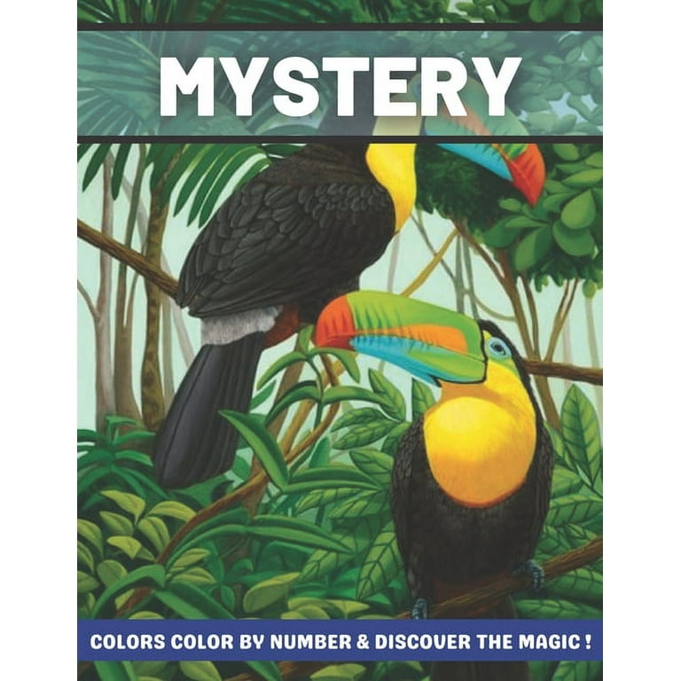 Mystery Colors Creative Color By Number & Discover Magic Adult
