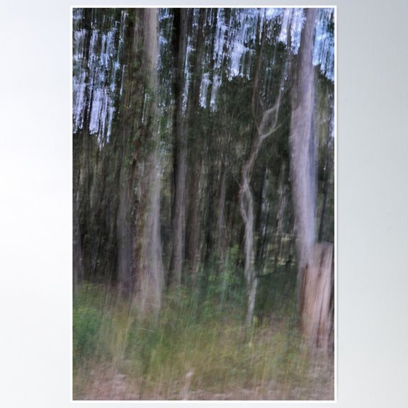 Mystery Forest Poster Wall Art, Modern Wall Decor, 8x12 UNFRAMED